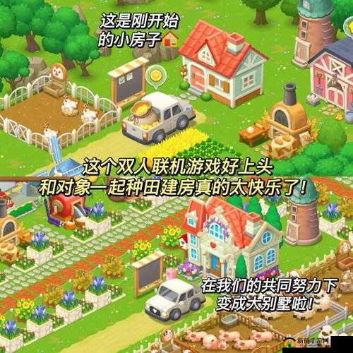 迷人农场经营秘籍：这些要点你不可不知