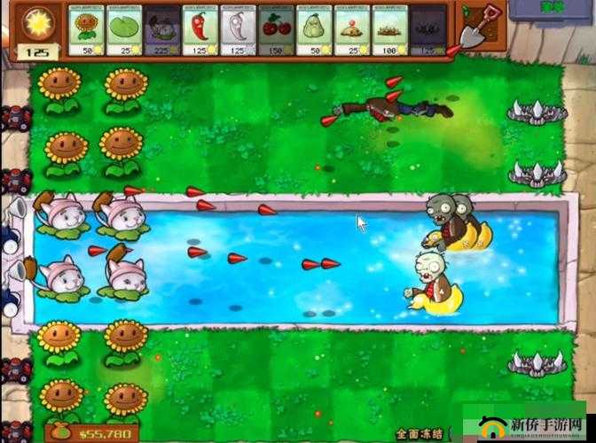 植物大战僵尸全面冻结第 8 关通关秘籍及技巧详解