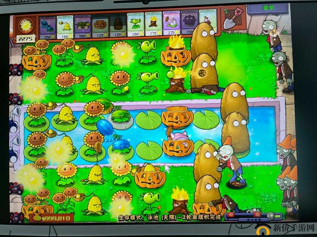 植物大战僵尸娱乐模式过关秘籍大放送