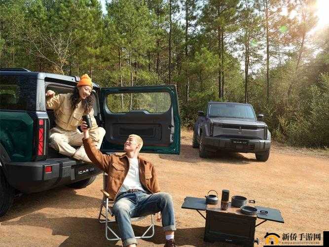 幻影纹章：职业速成秘籍揭秘，强力Buff加持让姬战力飙升