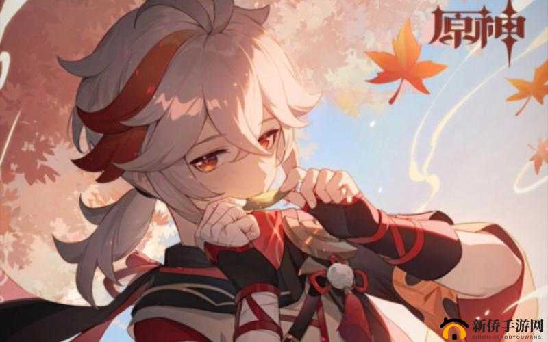 原神枫原万叶UP池角色全览：风起叶舞，限定收集