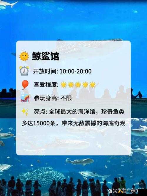 中午日产幕无线码 8 区：精彩内容不容错过