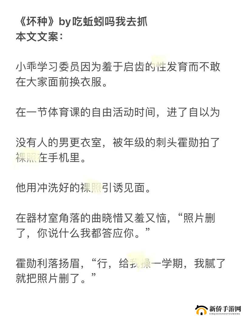 给我 c1v1sc：这是什么意思