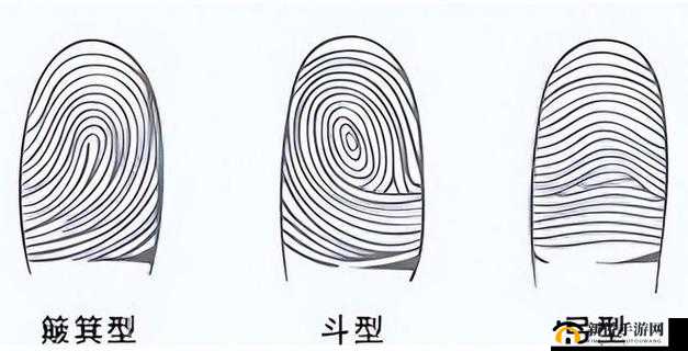 手指划入缝隙挖水：探究其背后的意义