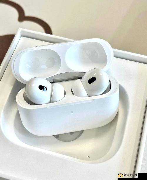 1316 岁 MacBook Pro 免费享啦