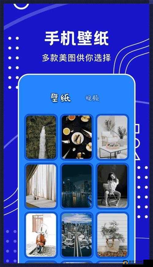 混乱小镇公交车售票员工作内容：如何开展