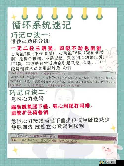 进击的汉字勇敢小牛通关秘籍与技巧详细分享指南