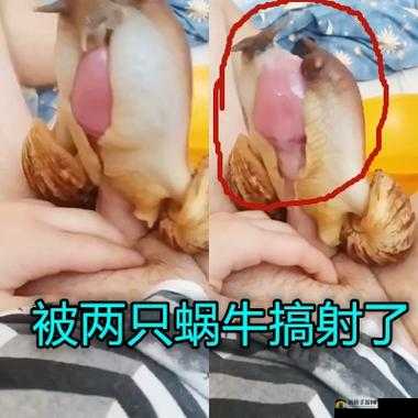 51fun 吃瓜网-热心群众张炳：最新爆料来袭