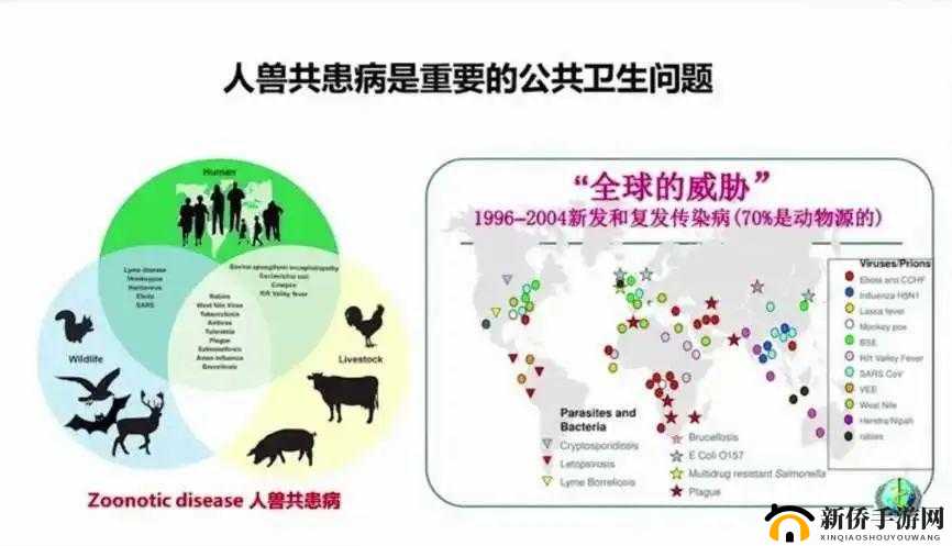 人与畜禽：和谐共处的奥秘