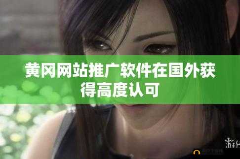 国外黄冈网站推广软件：提升知名度的高效途径