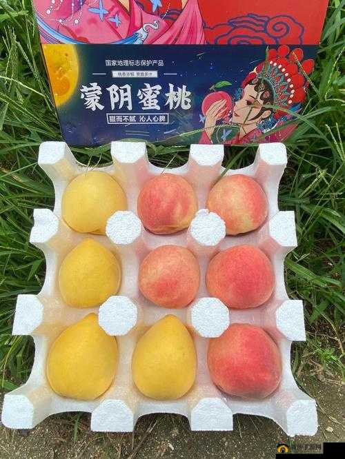 无人区一区与二区的红桃区别是什么