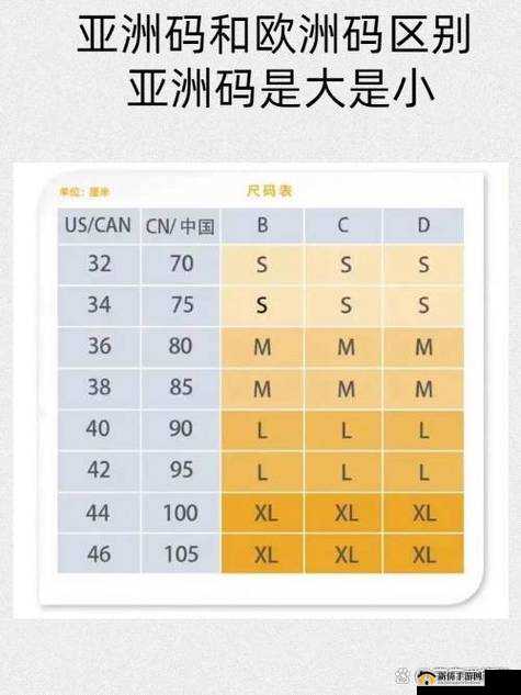 亚洲一码、欧洲二码的尺码区别