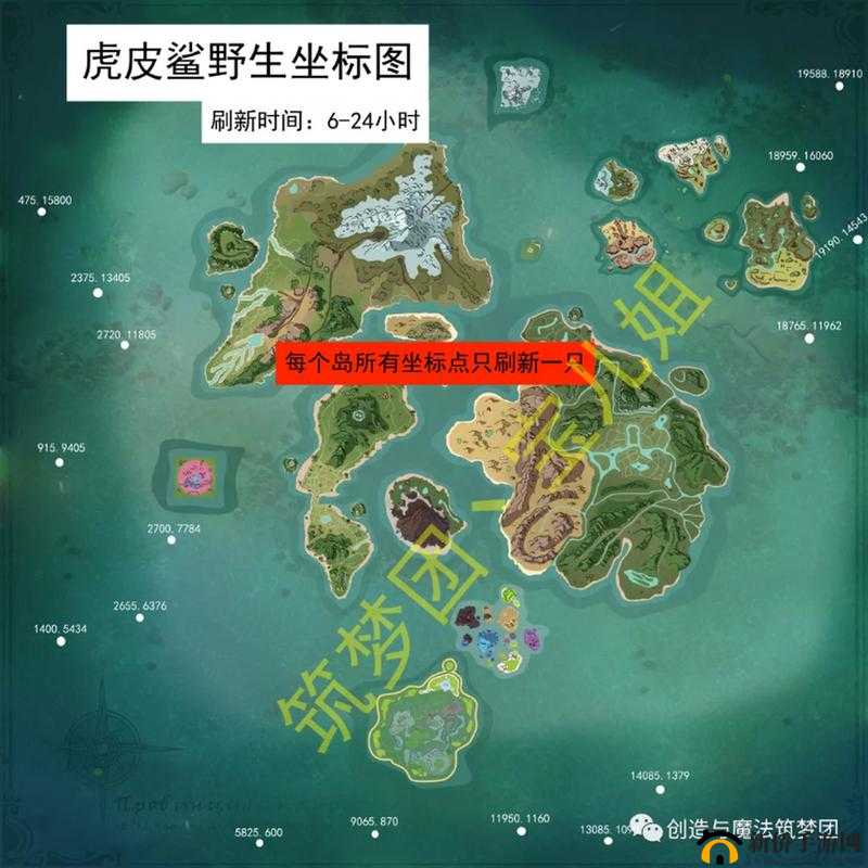 探索创造与魔法中虎皮鲨神秘出没的独特位置