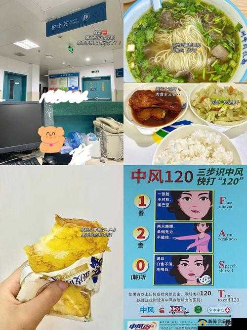 肉食教师食取报告 3HD：与思考