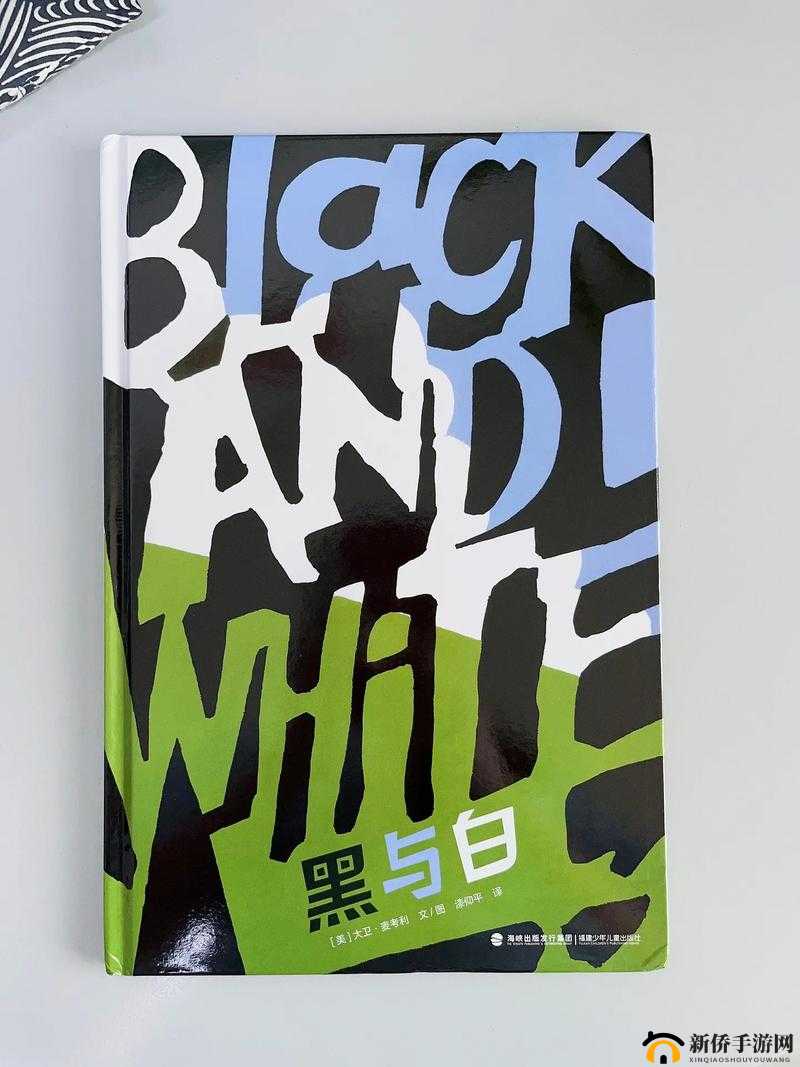 THEWHITEBOX 精选黑与白：纯粹之美
