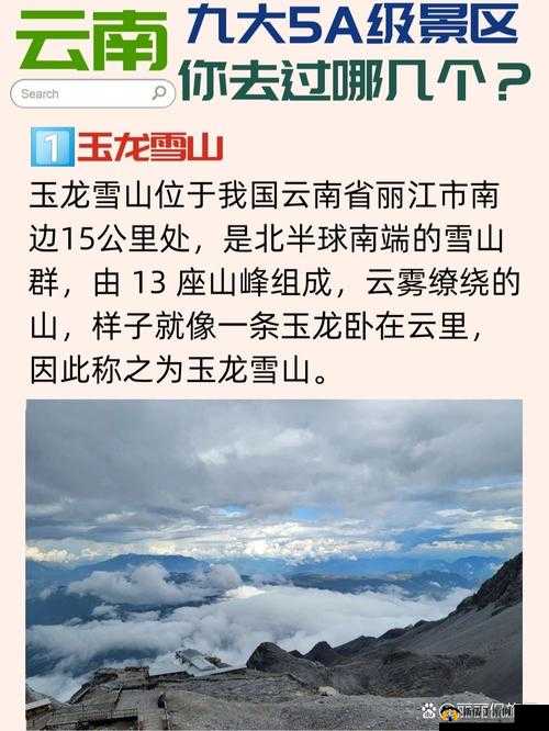 鏃ユ湰姘磋湝妗冨搧绉嶅箔椋庡ぇ鍙楁㈣繋之深度解析