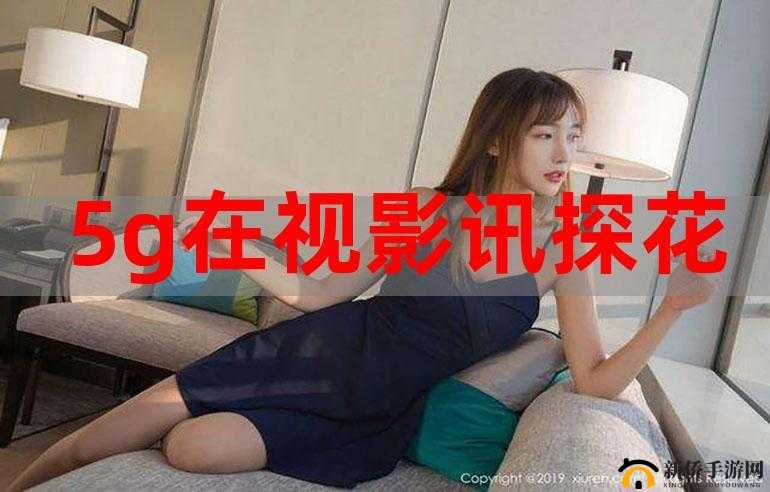 5g影讯天天5g罗志祥站长工具：相关介绍