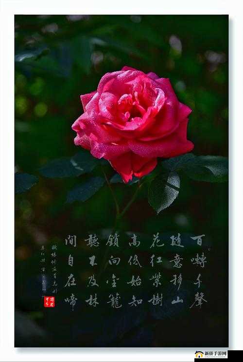 亭亭玉立国色天香四月天：佳人如画