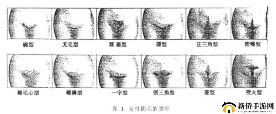女性三角毛毛区腹部里面疼痛的原因及应对