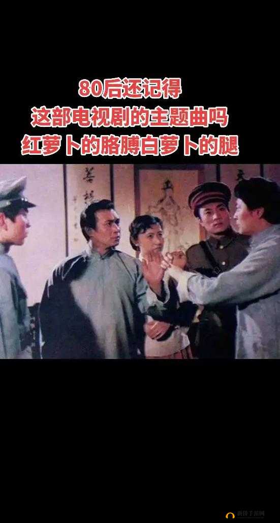 免费观看萝卜大全电视剧：畅享精彩剧集无束缚
