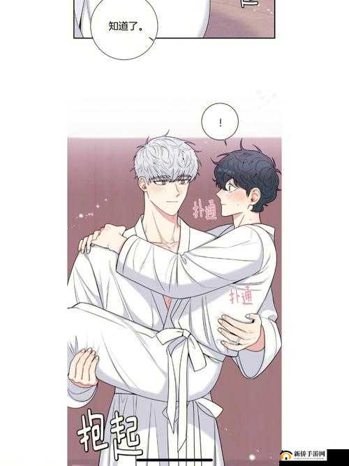 樱花漫画官方正版入口在哪：权威解答