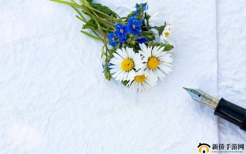菊花放一支笔的独特意境
