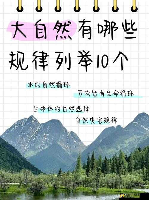 小洞需要大肉肠：奇妙搭配引发好奇