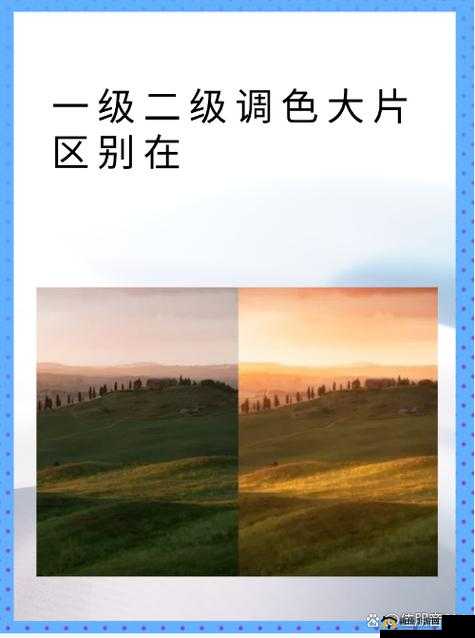 一级二级调色大片：从传统到数字的艺术之旅