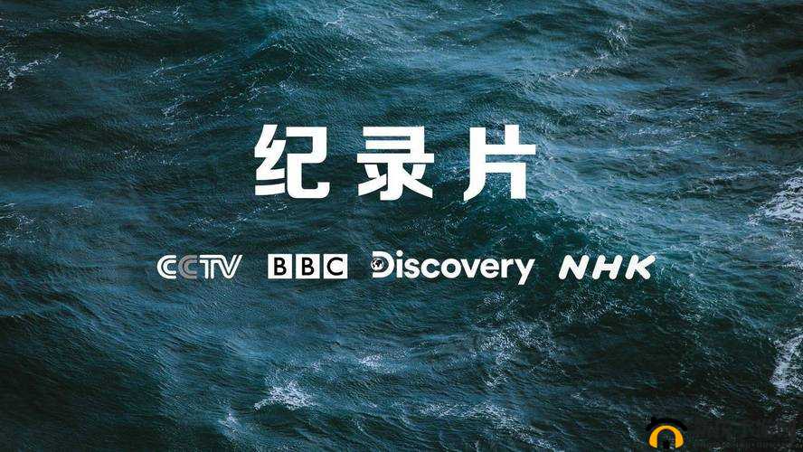 b 站好看的纪录片免费：精彩不容错过