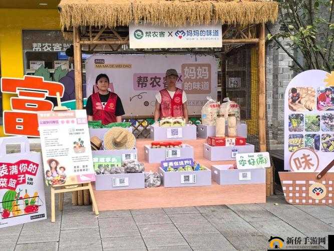 升级助力庄成长：全面攻略指引助你实现帮庄升级之路