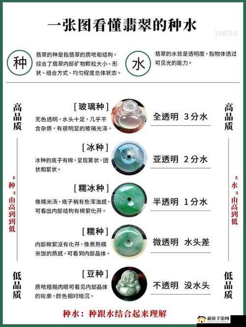 全面解析翡翠大师游戏攻略：从入门到精通的详细攻略汇总
