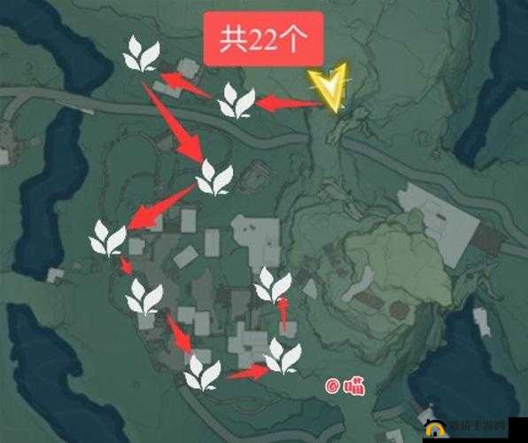 鸣潮手游金阳凤采集分布全知晓详细分布图一览