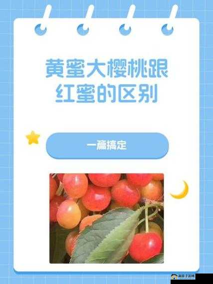 黄蜜大樱桃与红蜜的区别：品种特性不同