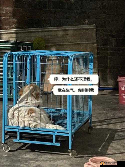 老牛嫩草一二三产品区别不一样的快感之详细解析