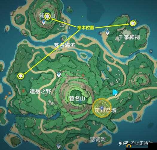 原神逢岳之野栖木羽毛位置大全，快来收集吧