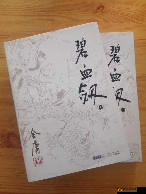 《碧血剑秘籍揭秘：初探对战站位攻略-入门篇》