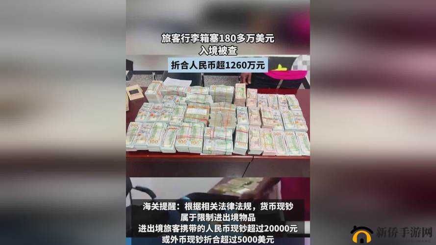 国精产品秘天美一区二区三区：你不能错过的精彩内容