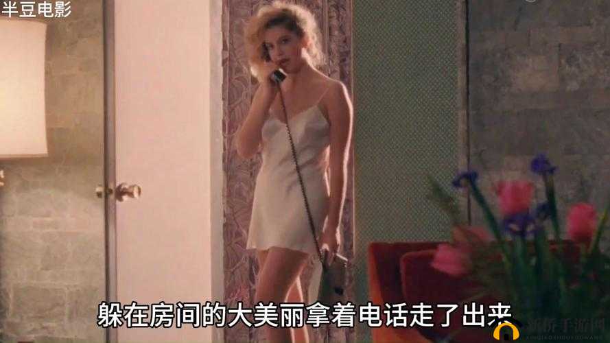 满天星酒店服务生：酒店服务的点滴故事