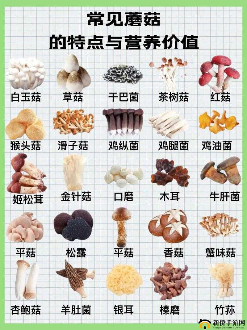 狠狠狠狠狠狠久久99精品蘑菇：美味食材推荐