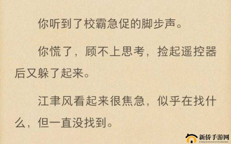 捡到校霸的遥控器 TXT 免费阅读：开启精彩之旅