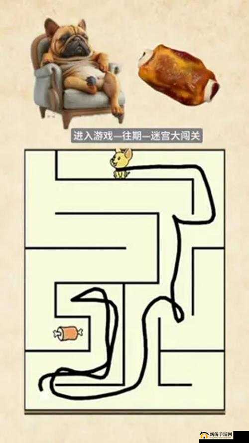 挑战你的智慧极限：树上蟠桃数量大揭秘，烧脑智力大乱斗第39关全攻略