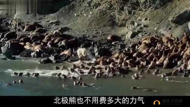 她开始拒绝慢迎迎合：为何？背后的原因令人深思