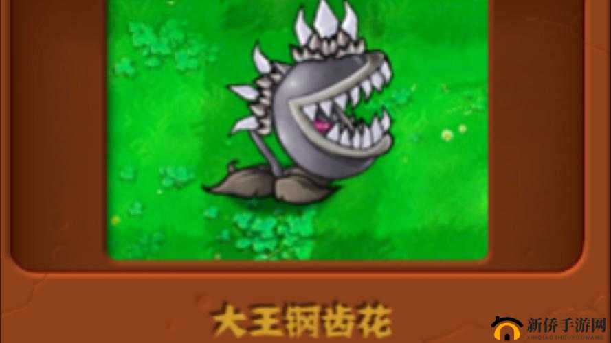 史小坑的烦恼4第72关全攻略：图文详解助你轻松通关全关卡挑战