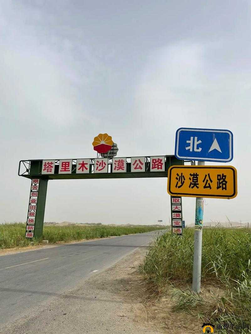 火花人生沙漠第7关通关秘籍：详细步骤与技巧助你轻松闯过难关
