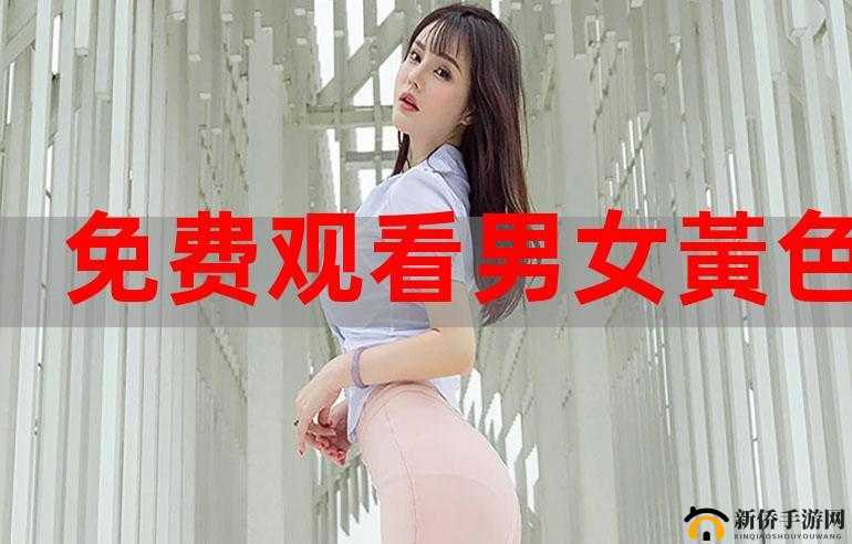 10 元黄色视频网站：满足你欲望的私密空间