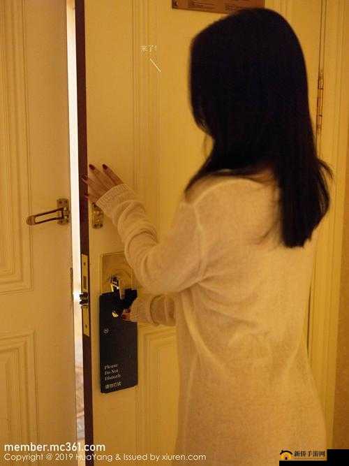 .WindowsChannel 视频：深度解析软件使用技巧