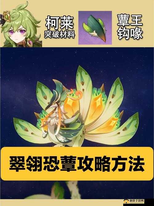 原神翠翎恐蕈战斗攻略：高效打法与策略分享