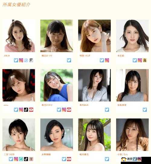 小哀被 C 高清无码引发的热议