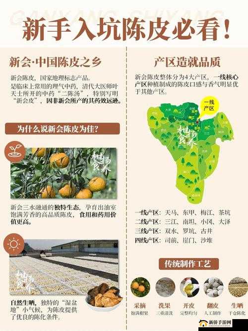 亚洲一线产区与二线产区区别解析