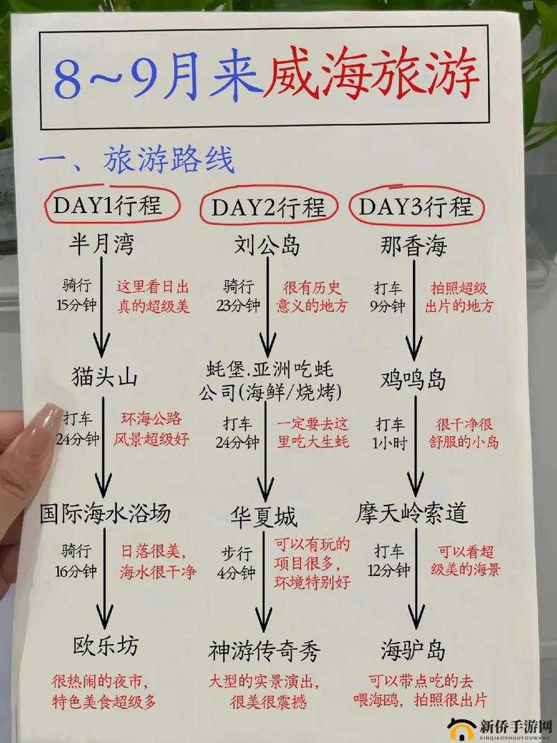 太极熊猫符文怎么选？这份攻略值得一看